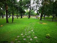 Imagine atasata: Parcul Central - 2019.08.03 - 44.jpg